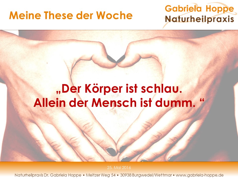 „Der Körper ist schlau. Allein der Mensch ist dumm…“