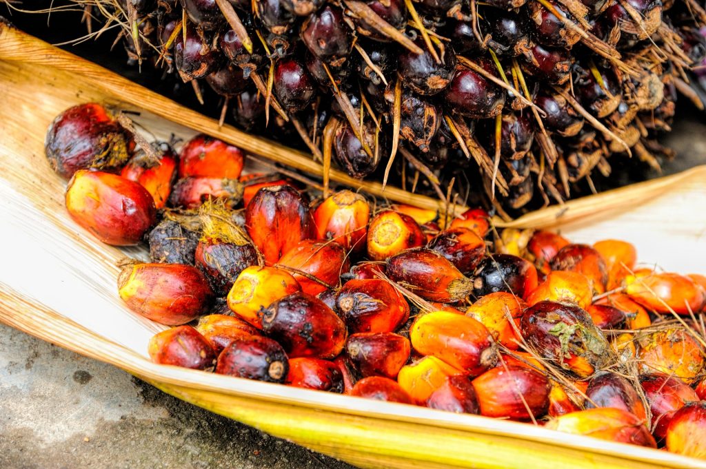 Gesundheitsrisiko Palmöl
