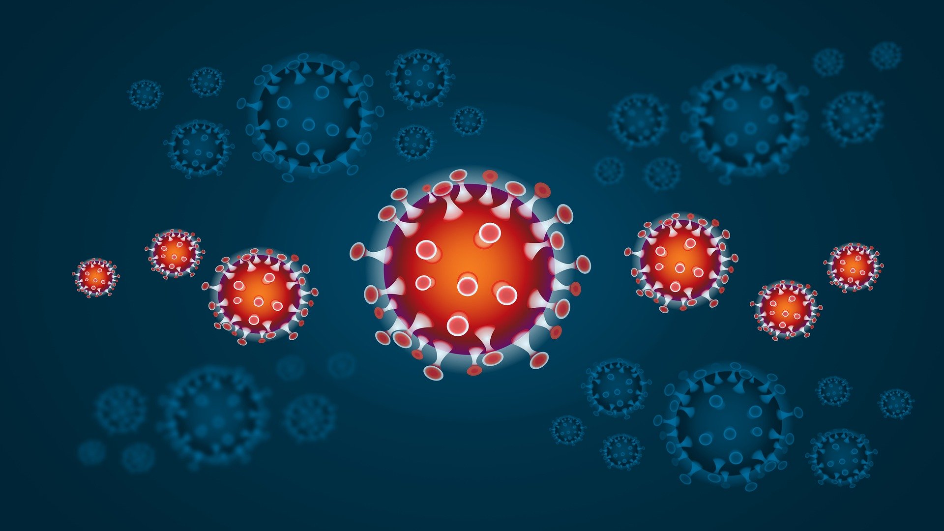 Coronavirus – Hard Facts & vernünftiges Verhalten
