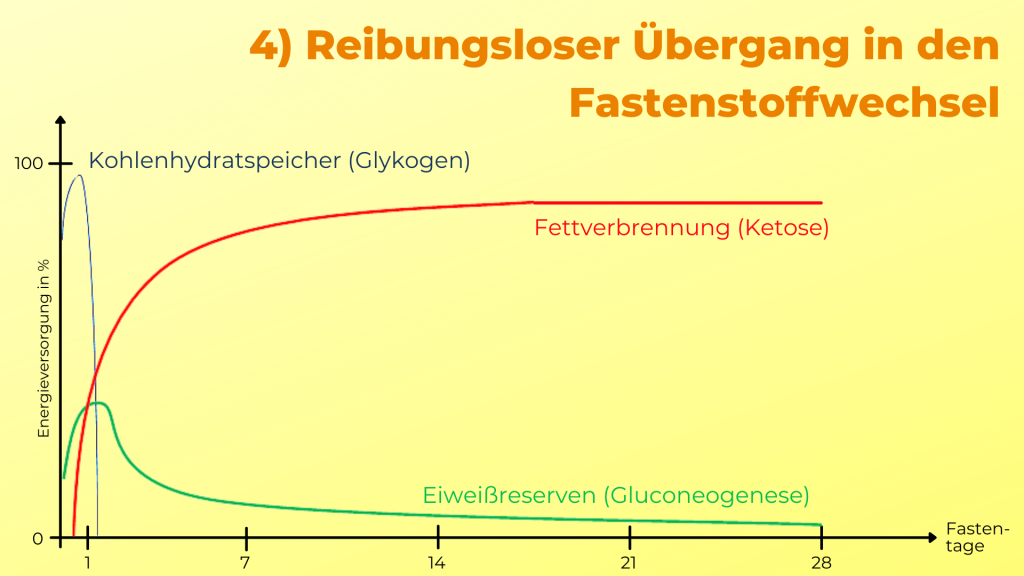 Fasten ohne Krisen mit Dr. Gabriela Hoppe | Erfolg durch Ernährung | Deine Ernährungsspezialistin & Heilpraktikerin in Hannover/Isernhagen | Bild by GH