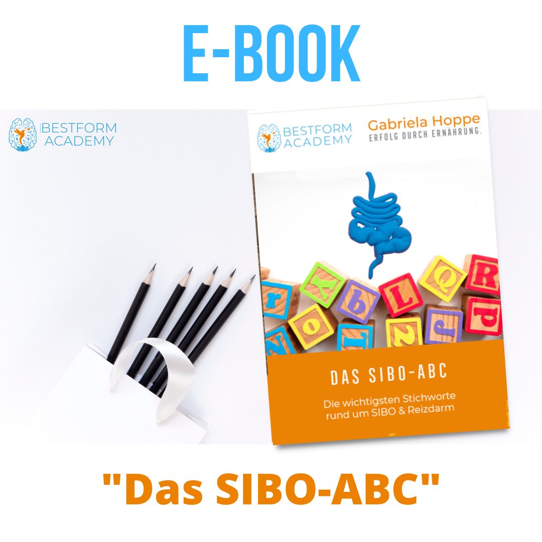 Das SIBO-ABC - ein E-Book von Erfolg durch Ernährung / Dr. Gabriela Hoppe | Erfolg durch Ernährung | Ernährungsspezialistin & Heilpraktikerin - Hintergrundbild by Canva