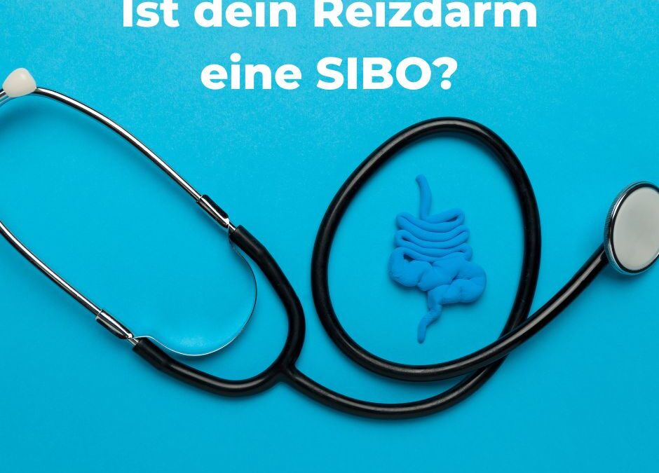 Ist dein Reizdarm eine SIBO? Mach den Test!