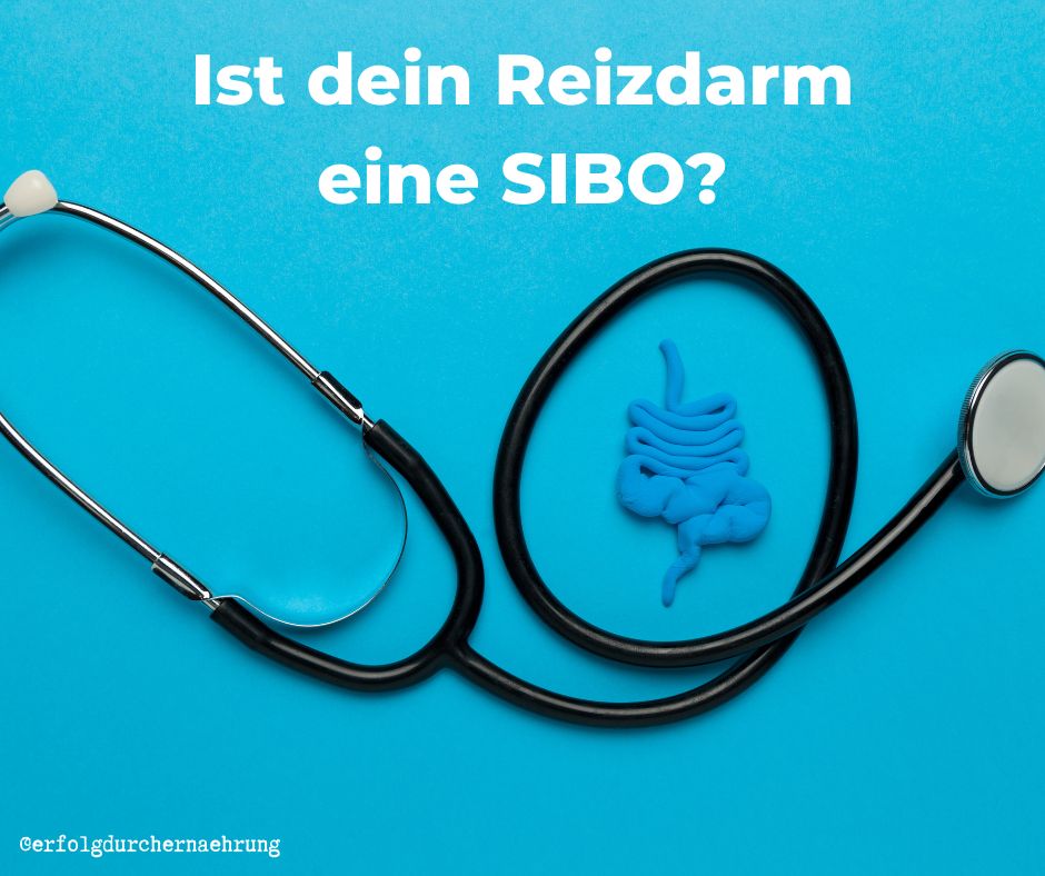 Ist dein Reizdarm eine SIBIO? Finde es heraus mit Dr. Gabriela Hoppe | Erfolg durch Ernährung | Ernährungsspezialistin & Heilpraktikerin - Hintergrundbild by Canva