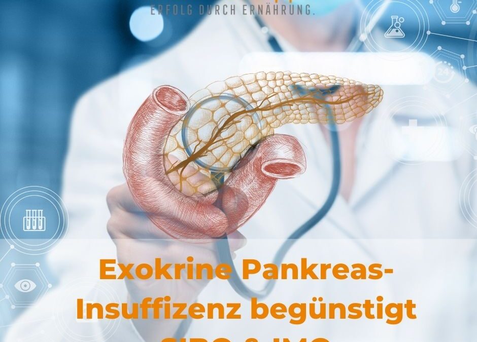 Exokrine Pankreas-Insuffizienz (EPI) begünstigt SIBO & IMO