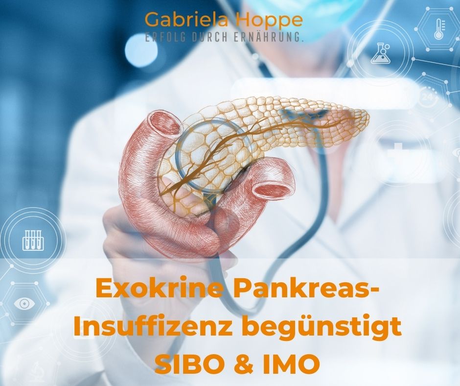 Exokrine Pankreas-Insuffizienz (EPI) begünstigt SIBO & IMO