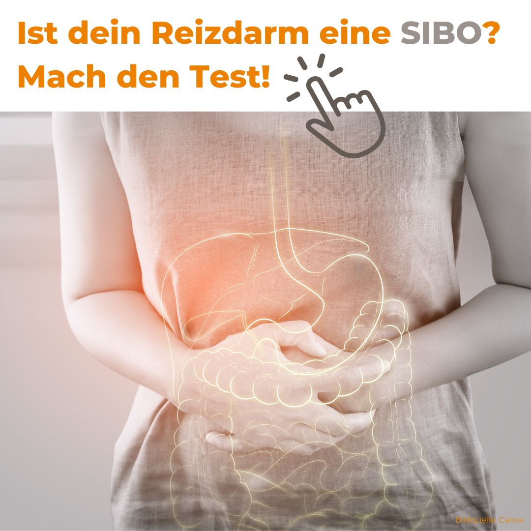 Ist dein Reizdarm eine SIBIO? Finde es heraus mit Dr. Gabriela Hoppe | Erfolg durch Ernährung | Ernährungsspezialistin & Heilpraktikerin - Hintergrundbild by Canva