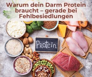Warum dein Darm Protein braucht - gerade bei Fehlbesiedlungen - mit Dr. Gabriela Hoppe | Erfolg durch ganzheitliche Regulation | Reizdarm- und Stoffwechselspezialistin & Heilpraktikerin - Bild by Canva