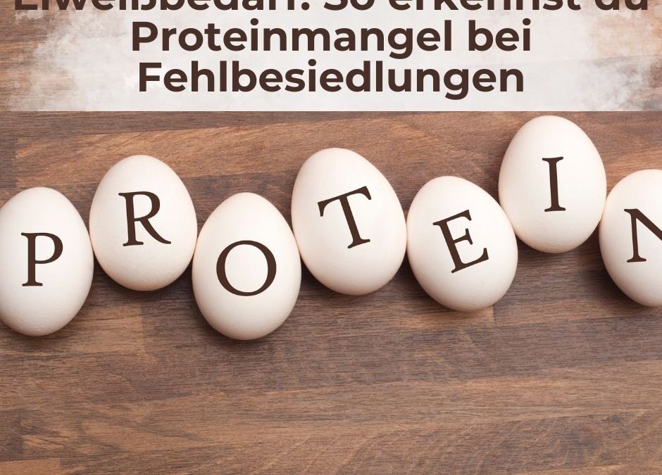 Eiweißbedarf: So erkennst du Proteinmangel bei Fehlbesiedlungen