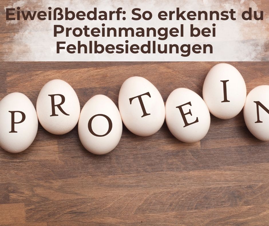 Eiweißbedarf: So erkennst du Proteinmangel bei Fehlbesiedlungen