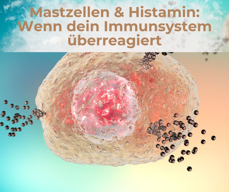 Mastzellen & Histamin – wenn dein Immunsystem überreagiert
