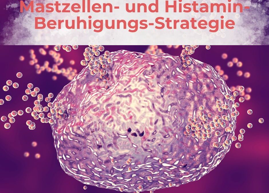 Mastzell-Beruhigungs-Strategie – was wirklich hilft