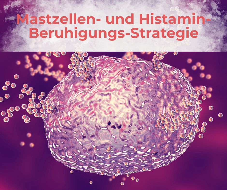 Mastzell-Beruhigungs-Strategie – was wirklich hilft