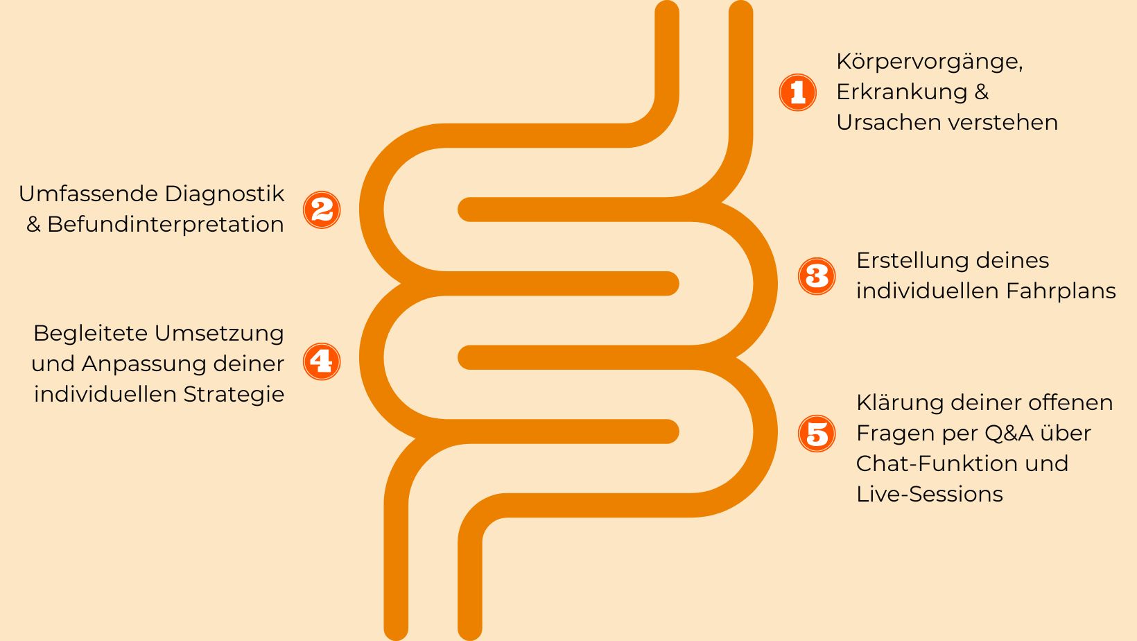 Reizdarm, SIBO und IMO verstehen mit Reizdarm-Spezialistin und Heilpraktikerin Dr. Gabriela Hoppe | Hintergrundbild by Canva