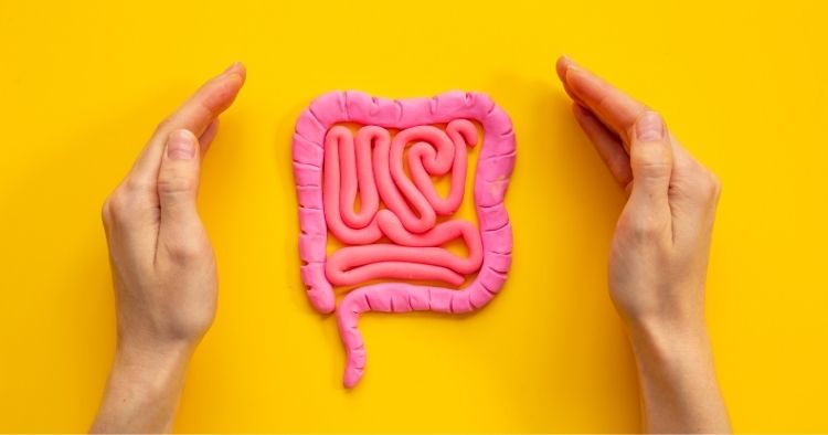 Reizdarm verstehen mit Dr. Gabriela Hoppe | Spezialistin für Reizdarm- und Stoffwechsel & Heilpraktikerin - Bild by Canva