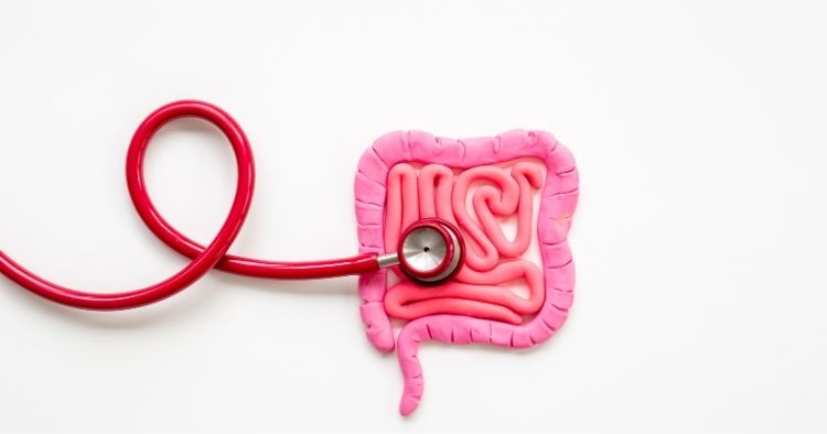 Reizdarm verstehen mit Dr. Gabriela Hoppe | Spezialistin für Reizdarm- und Stoffwechsel & Heilpraktikerin - Bild by Canva