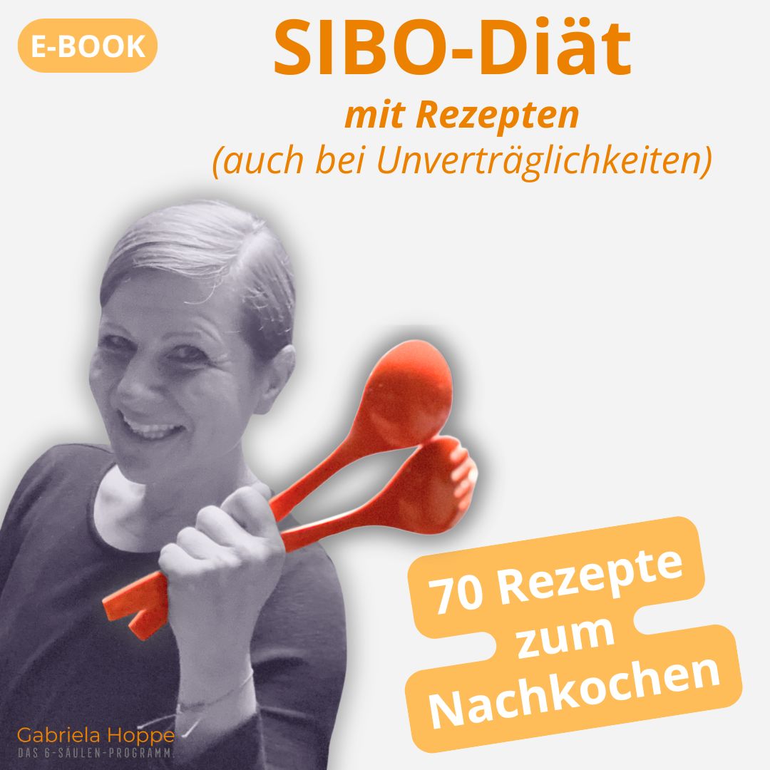 Produktbild E-Book SIBO-Diät SIBO-Diät, Reizdarm & SIBO verstehen mit Dr. Gabriela Hoppe | Spezialistin für Reizdarm und Fehlbesiedlung & Heilpraktikerin - Bild by Dr. Gabriela Hoppe