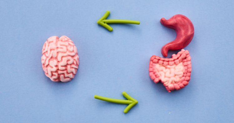 Reizdarm verstehen mit Dr. Gabriela Hoppe | Spezialistin für Reizdarm und Fehlbesiedlung & Heilpraktikerin - Bild by Canva