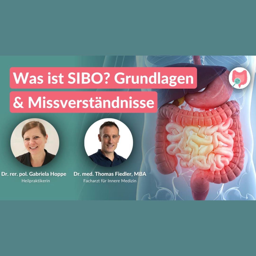 Dr. Gabriela Hoppe - Speakerin beim SIBO-Kongress von medumio | Das 6-Säulen-Programm | deine Heilpraktikerin & Reizdarm-Spezialistin in Hannover / Isernhagen