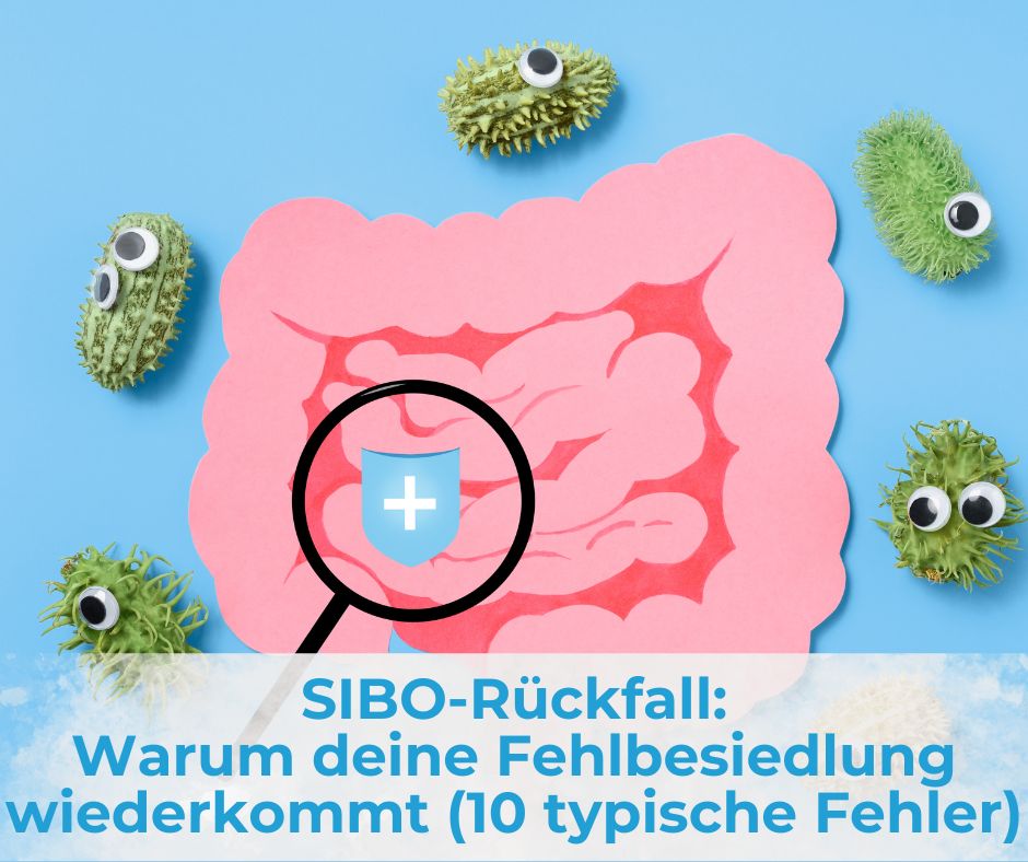SIBO-Rückfall: Warum deine Fehlbesiedlung wiederkommt und 10 häufige Fehler